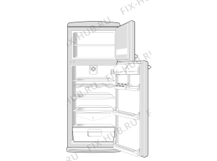 Холодильник Korting KN326BLD (107505, HZS3266) - Фото